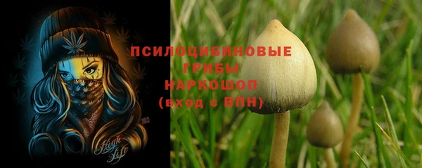 a pvp Алексин