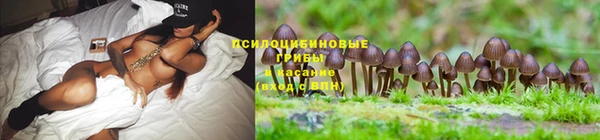 эйфоретик Алзамай