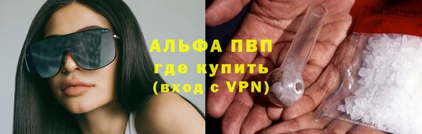 эйфоретик Алзамай