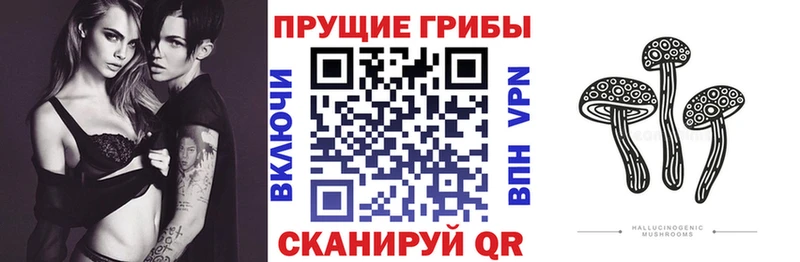 где купить   Артём  MEGA онион  Галлюциногенные грибы MAGIC MUSHROOMS 